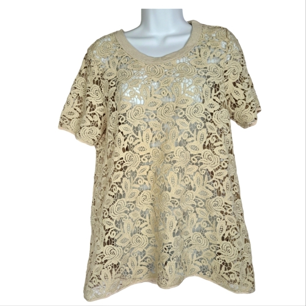 Aritzia Wilfred Cream Guipure Lace‎ Top